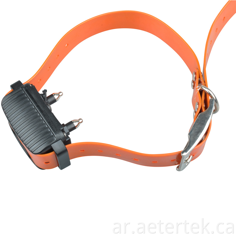 Auto Anti Bark Collar